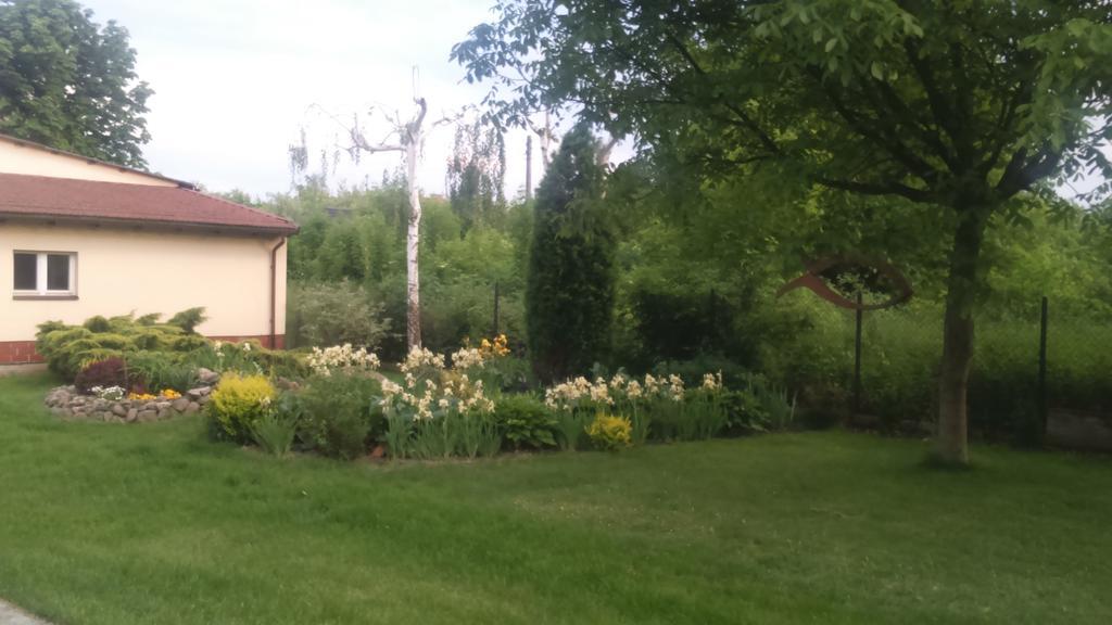 Apartamenty Warka Exterior foto